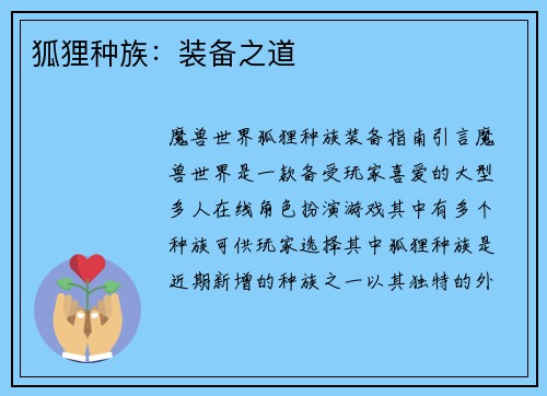 狐狸种族：装备之道